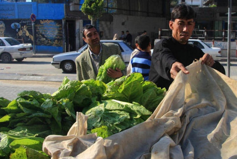 Warga Palestina Keluhkan Harga Bahan Makanan di Jalur Gaza Melonjak Pedagang sayur di Gaza. Warga Palestina Keluhkan Harga Bahan Makanan di Jalur Gaza Melonjak