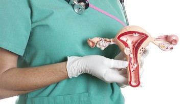 Apa Benar Menunda Kehamilan Bisa Bikin Rahim Kering? Ilustrasi Rahim