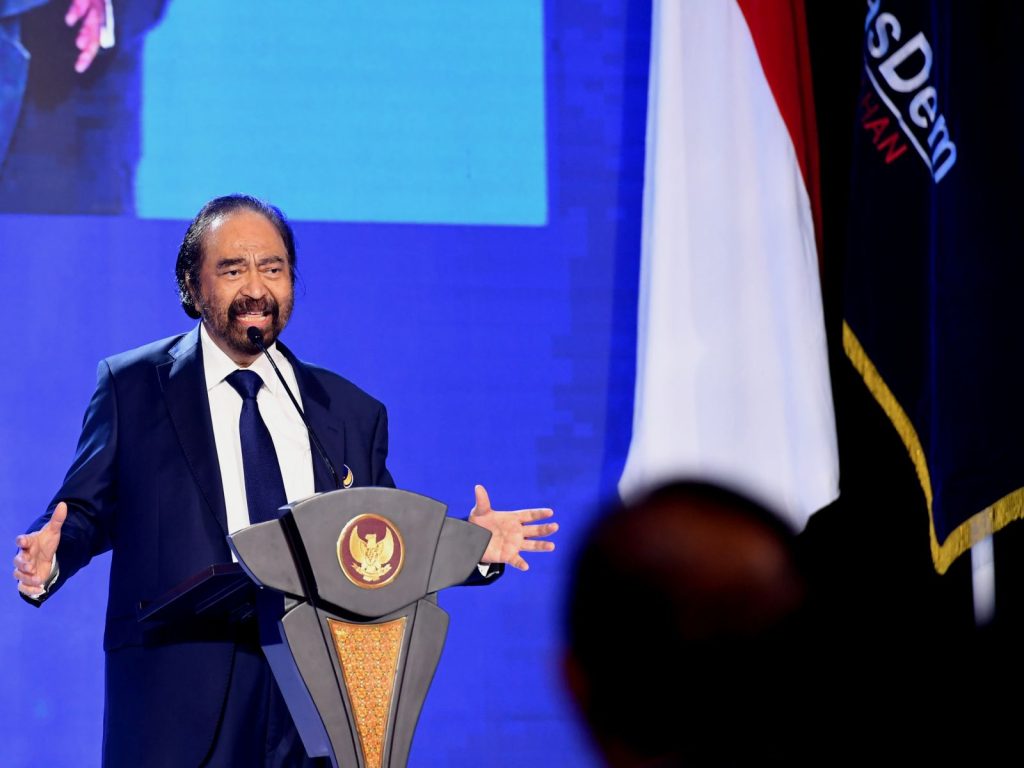 ketua umum nasdem
