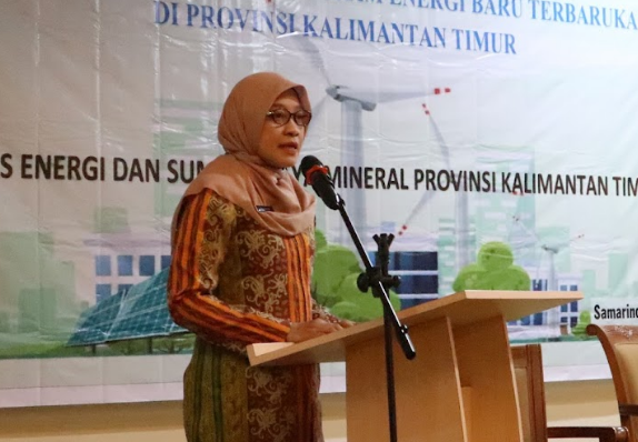 Kalimantan Timur Gandeng TMII, Wujudkan Nusantara Inklusif Hijau Sri Wahyuni