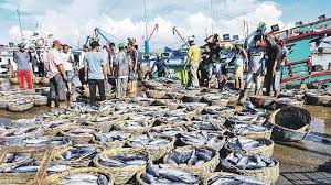 Pembatasan Penangkapan: Tantangan Nelayan dan Regulasi yang Membatasi Aktivitas Penangkapan Ikan Pembatasan Penangkapan