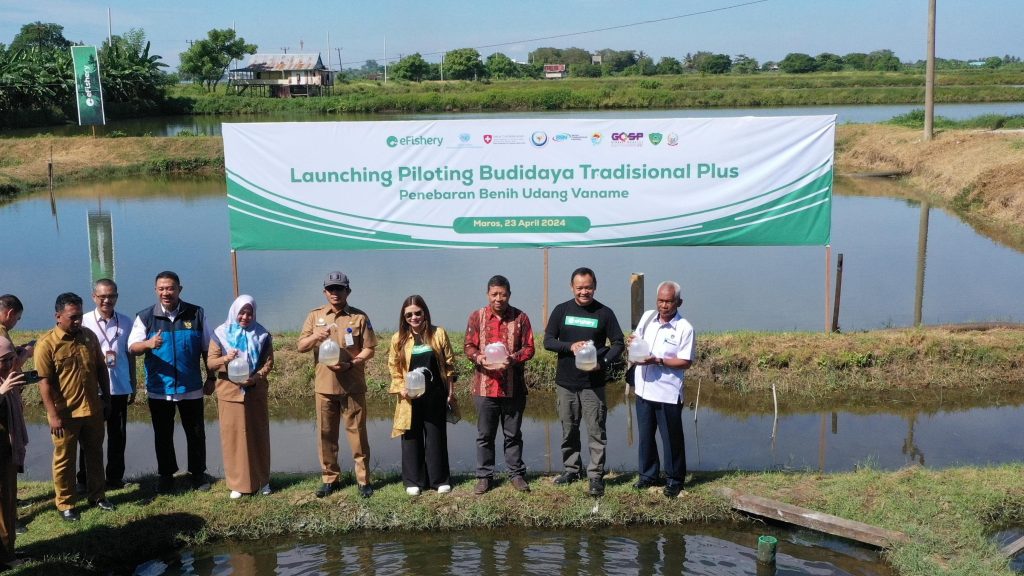 kkp luncurkan pilot project budi daya udang tradisional-plus di sulawesi-selatan