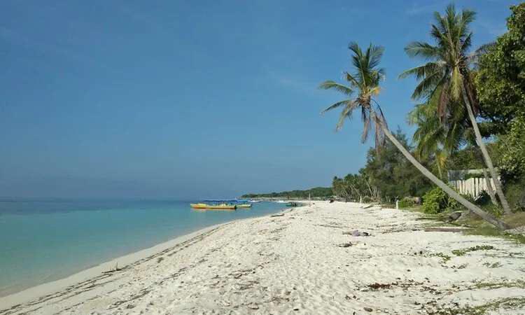 Keindahan Pantai Bara Bulukumba Ilustrasi Tanjung Bara Aquatic