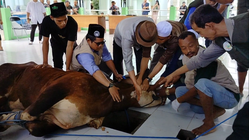 Ardiansyah Sulaiman, Bupati Kutim saat menyembelih hewan kurban di Masjid Jami' Al Farouq, Senin (17/6/2024) (Ahmad/GOnews.id)