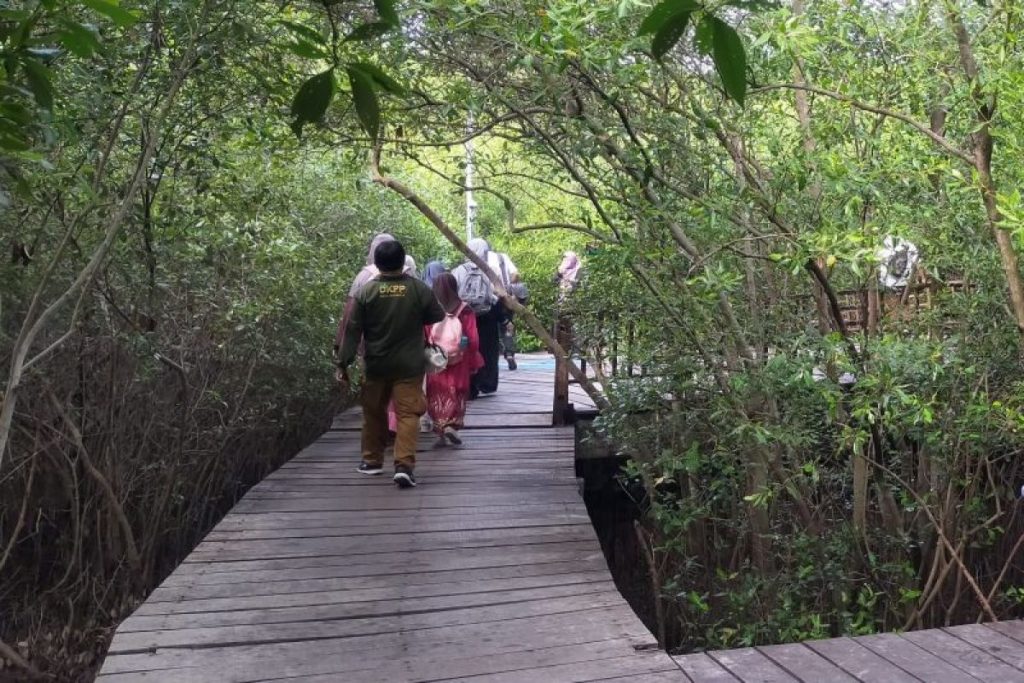 Kunjungan di Kebun Raya Mangrove Surabaya