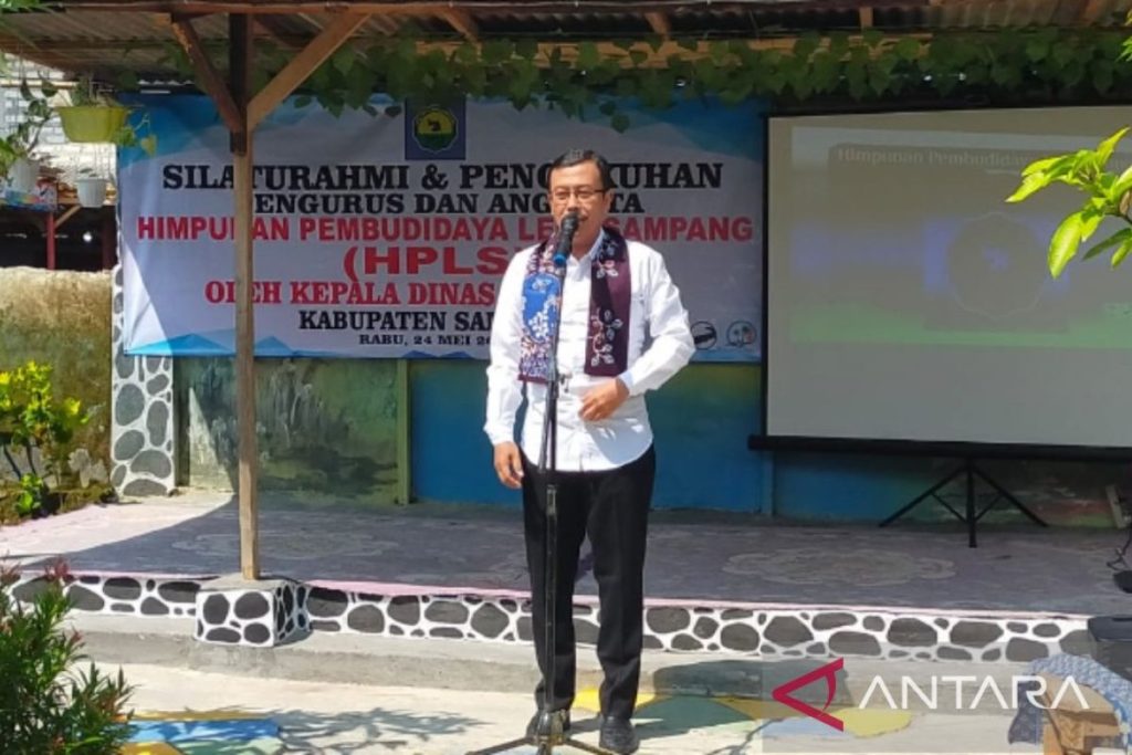 Pemkab Sampang Budi Daya Ikan Tawar, Petani Menjadi Taruhan Pembentukan Himpunan Pembudidaya Lele Sampang oleh Dinas Perikanan Pemkab Sampang.
