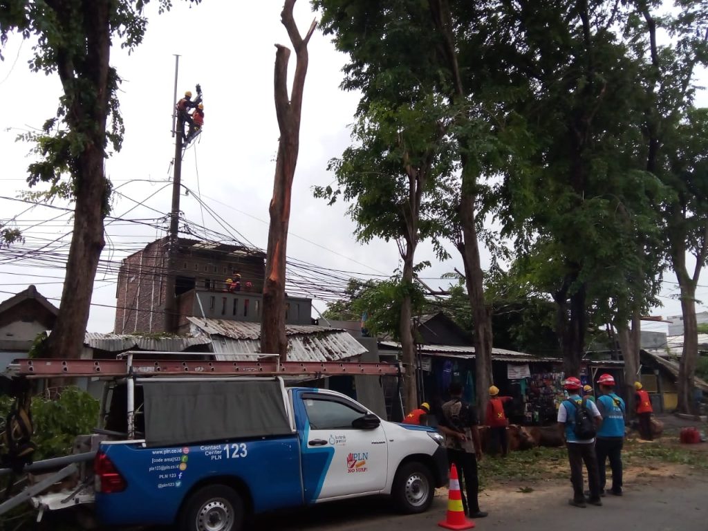 Hujan Lebat dan Angin Kencang di Pungging Sebabkan Pohon Tumbang, Rumah Warga Rusak