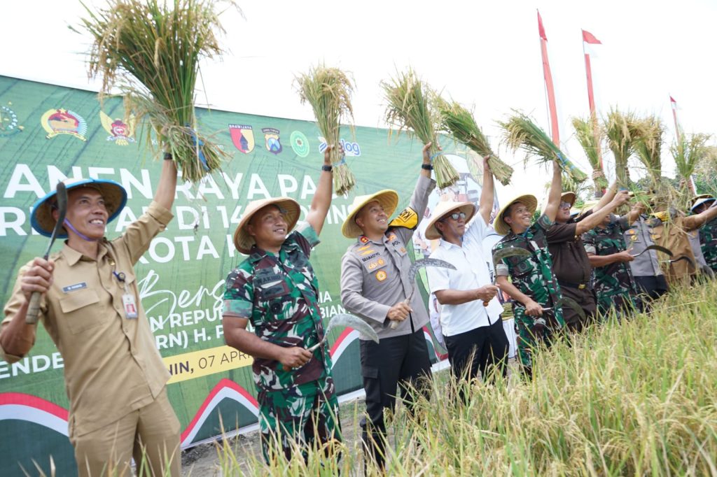 Suasana Panen Padi Serentak Nasional Kota Kediri, Senin (7/4/2025) (DR/Gonews.id)