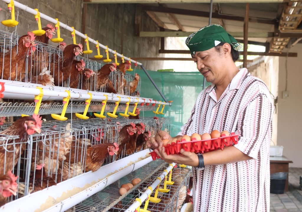 Deny Widyanarko mengambil telur di laboratorium mini miliknya (DR/GOnews.id)