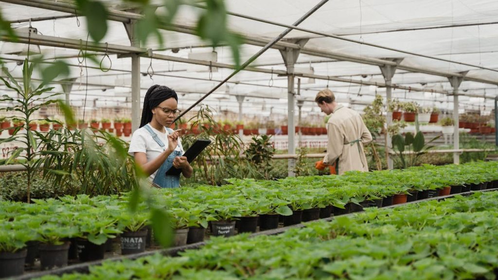 Urban Farming