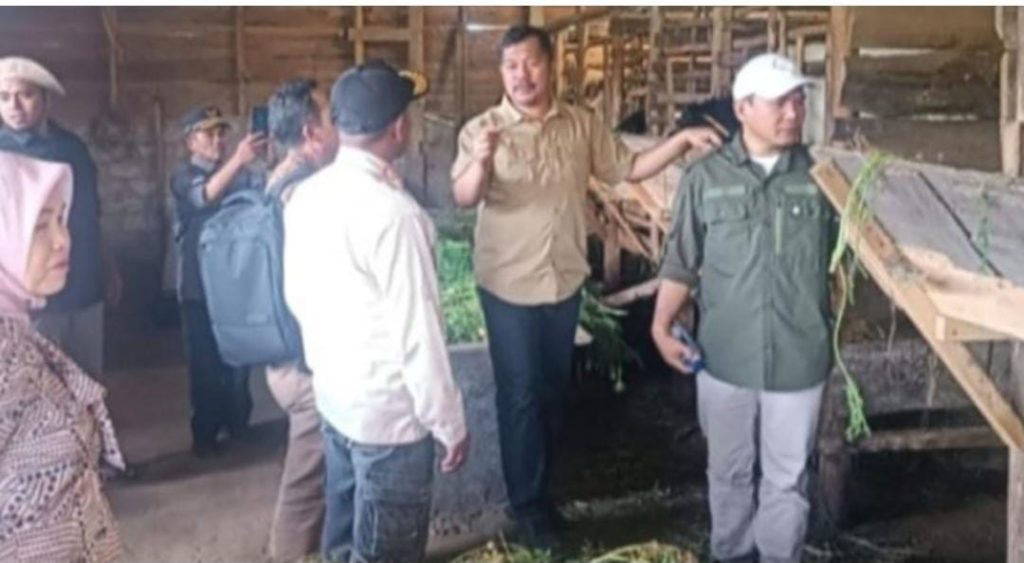 Kerinci Resmikan Kawasan Sentral Kambing PE di Batang Sangir Bupati Kerinci, Monadi,
