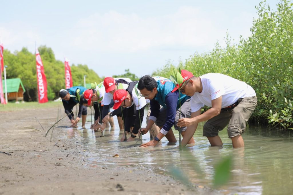 12 Ribu Mangrove Ditanam Karyawan AHM di Karawang Karyawan PT Astra Honda Motor (AHM) yang tergabung dalam Synergy Creator Squad (SC Squad) sedang melakukan penanaman pohon mangrove di Kawasan Ekowisata Mangrove Tambaksari, Desa Tambaksari Kabupaten Karawang, Jawa Barat (29/07)