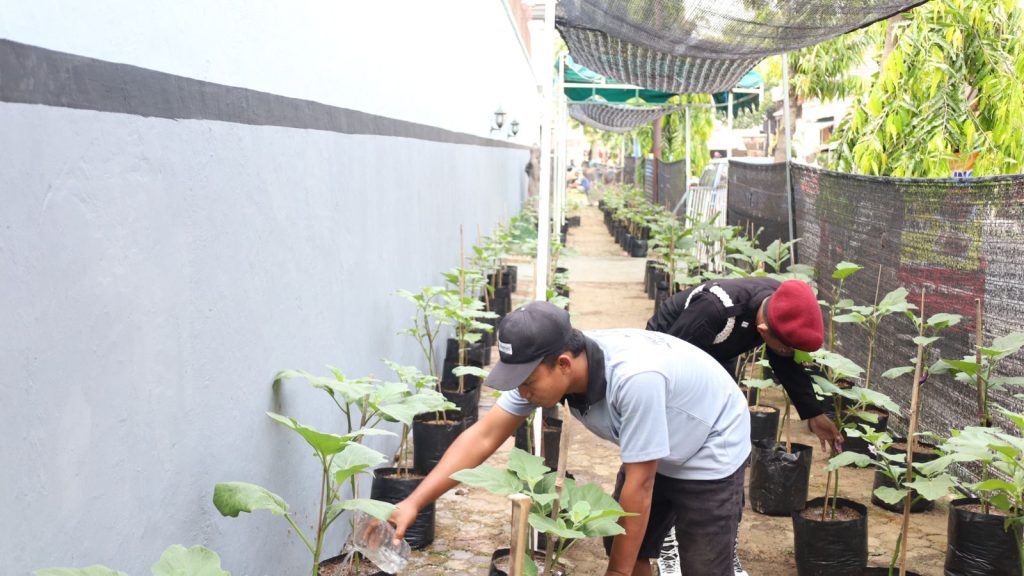 Program Pertanian Lapas Mojokerto 2025 (Foto: Humas Lapas Mojokerto)