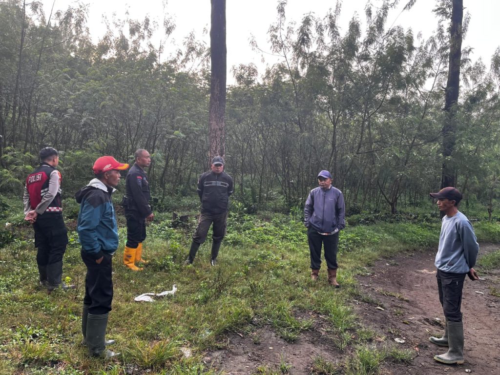 Aparat gabungan TNI, POLRI, BRIMOB, menyisir kawasan Afdeling Kalisengon dan memperketat penjagaan di Area Kebun Kopi, Rabu (5/11/2025). (Doni/GOnews.id)