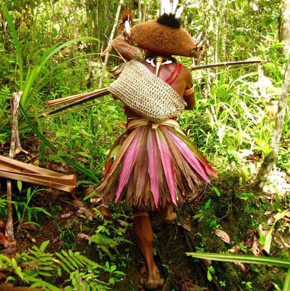Manusia Masih Bergantung Pada Hutan