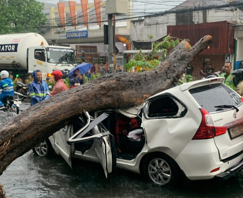 Pohon Tumbang di Mojopahit Sidoarjo Picu Sorotan Hukum dan Tanggung Jawab Pemerintah Pohon tumbang menimpa mobil pengendara yang melintas di Jalan Mojopahit, Sidoarjo, Sabtu lalu.