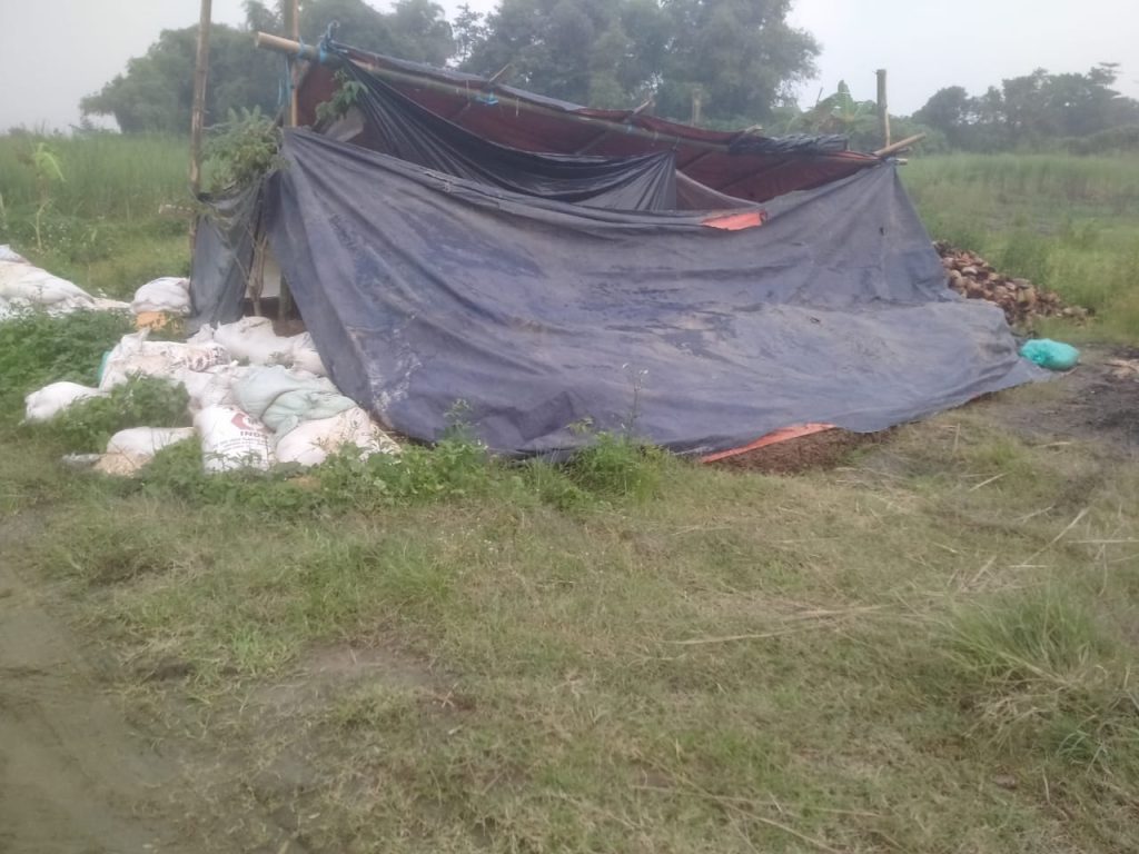 Warga Pandisari Mojokerto Resah, Dugaan Limbah Hewan Cemari Lingkungan Limbah kotoran hewan yang mencemari lingkungan di Dusun Pandisari Desa Sawo, Kecamatan Kutorejo, Kabupaten Mojokerto (HB/GOnews.id)