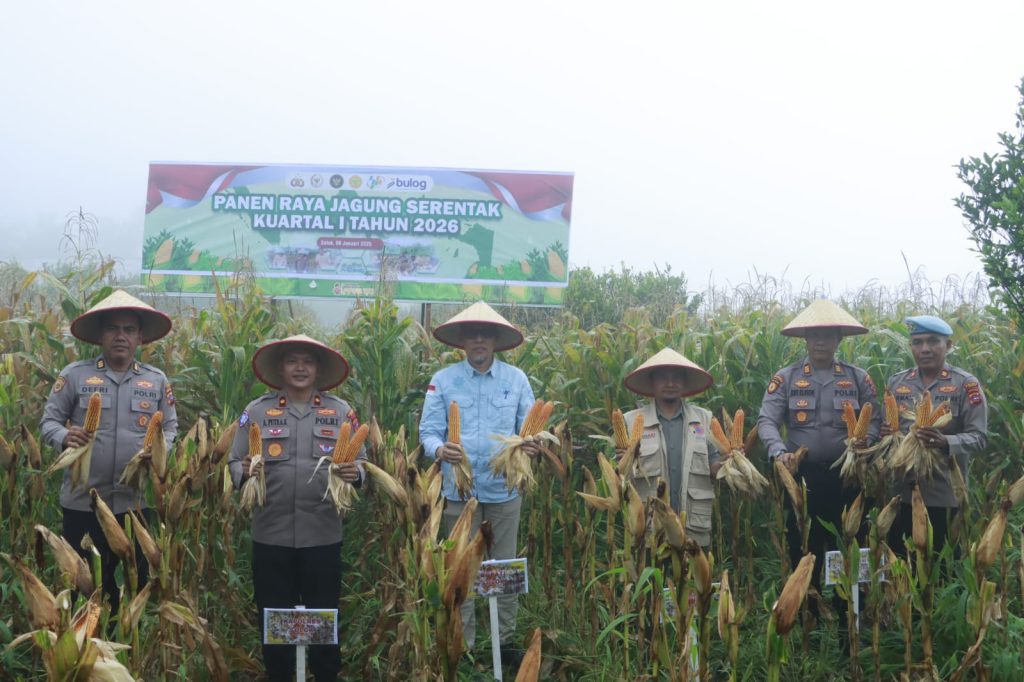 Keterangan Fhoto : Panen Raya Jagung Serentak Kuartal I 2026 oleh Polres Solok di Taman Sains Pertanian BRMP Sumatera Barat sebagai wujud dukungan nyata terhadap ketahanan pangan nasional. Kamis (8/1/2026) (Fhoto : Dioni/Gonews.id)