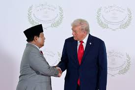 RI Resmi Gabung Dewan Perdamaian Binaan Trump di Davos