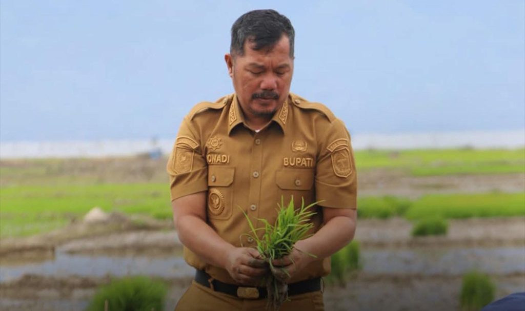 Bupati Kerinci Tanam Padi SRI Ciherang di Lahan Tidur