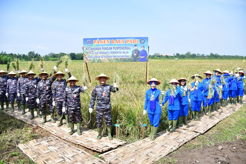 Puspenerbal TNI AL menggelar panen raya padi di Sedati Sidoarjo