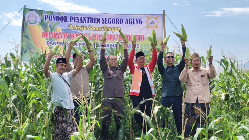 Sinergi Ponpes Segoro Agung dan Kejari Mojokerto Panen Jagung Manis Perdana KH. Bimo Agus Sunarno (Jaket merah), Pengasuh sekaligus pembina Pondok Pesantren Segoro Agung Mojokerto, Kepala Kejaksaan Negeri Kabupaten Mojokerto, Fauzi, S.H., M.H., Denata Suryaningrat, S.H., M.H. Kasi Intelijen dan Tokoh masyarakat saat panen raya jagung di lahan belakang Rumah Sakit Adhyaksa Jawa Timur, Kamis (26/3/2026).
