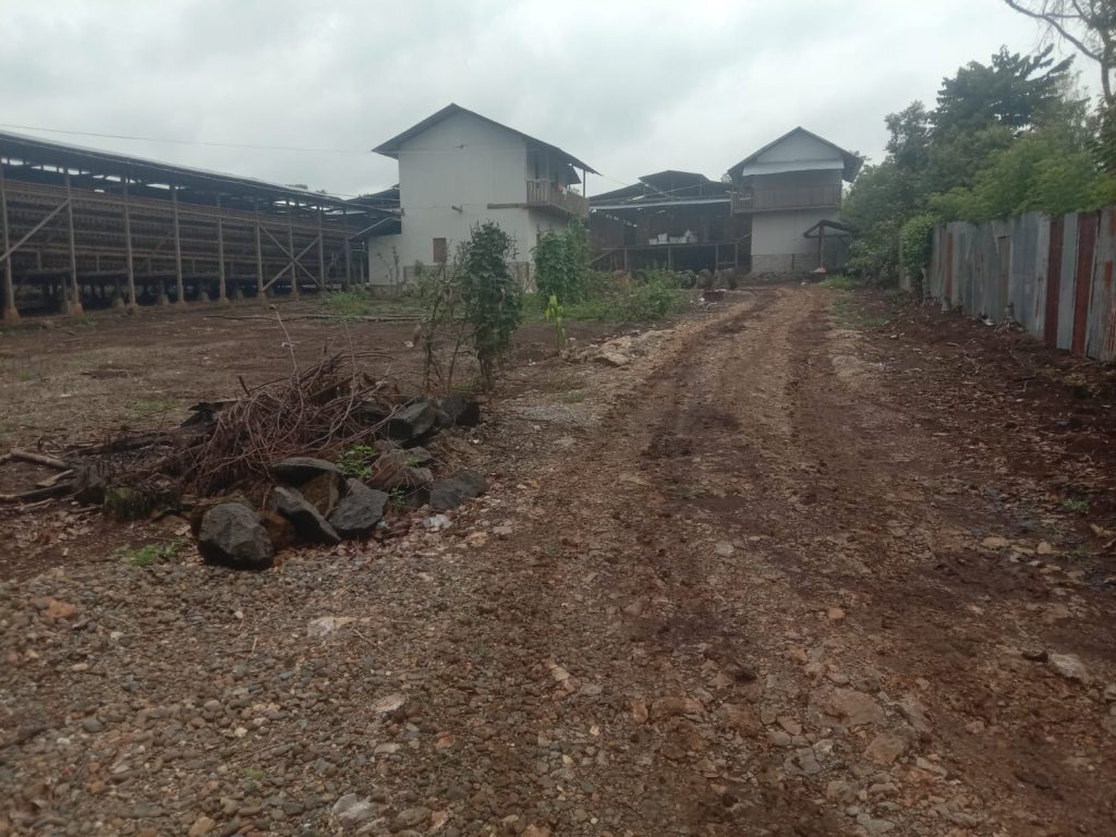 Lebaran Terganggu Bau Kandang Ayam di Solok Kandang ayam petelur dekat permukiman warga di Nagari Bukit Kandung, Kabupaten Solok, yang diduga menjadi sumber bau tidak sedap dan serbuan lalat ke rumah warga. Sabtu (21/3)2026). (Fhoto: Dioni/Gonews.id)