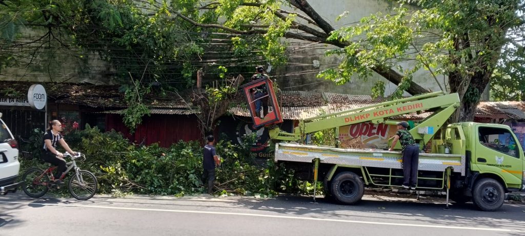 DLHKP Kediri Siaga, Antisipasi Pohon Tumbang Petugas dari DLHKP Kota Kediri melakukan pemangkasan pohon di jalan Kanten Tendean Kota Kediri Senin (31/3/2026)