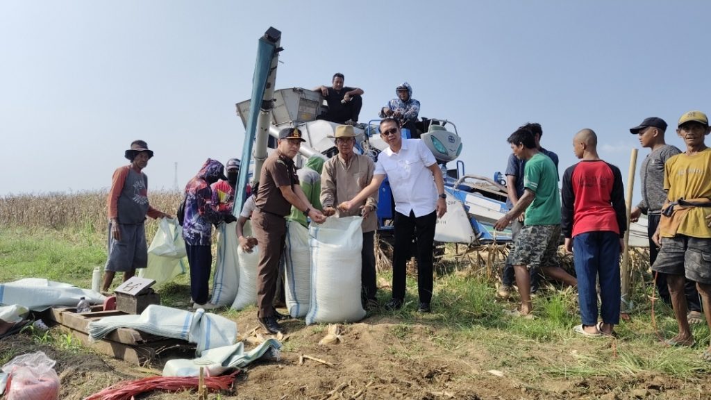 KH. Bimo Agus Sunarno (tengah), Pengasuh sekaligus pembina Pondok Pesantren Segoro Agung Mojokerto, Fauzi, S.H., M.H., Kepala Kejaksaan Negeri Kabupaten Mojokerto, Denata Suryaningrat, S.H., M.H. Kasi Intelijen saat panen raya jagung di lahan belakang Rumah Sakit Adhyaksa Jawa Timur, Senin (20/4/2026).(AN/GOnews.id)