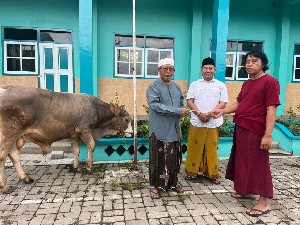 Ali Hasan Mun’im menyerahkan sapi kurban di Pondok Pesantren Bustanul Ulum, Desa Padasan, Kecamatan Pujer, Bondowoso (Doni/GOnews.id)