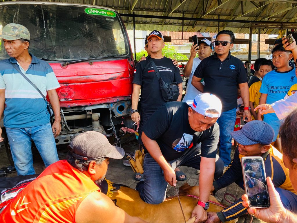 Momentum Idul Adha 1447 H, Ketua DPP LPK-SM SAKERA Turun Langsung Sembelih 2 Sapi Kurban. LPK-SM SAKERA Pasuruan sembelih dua sapi kurban Idul Adha 1447 H