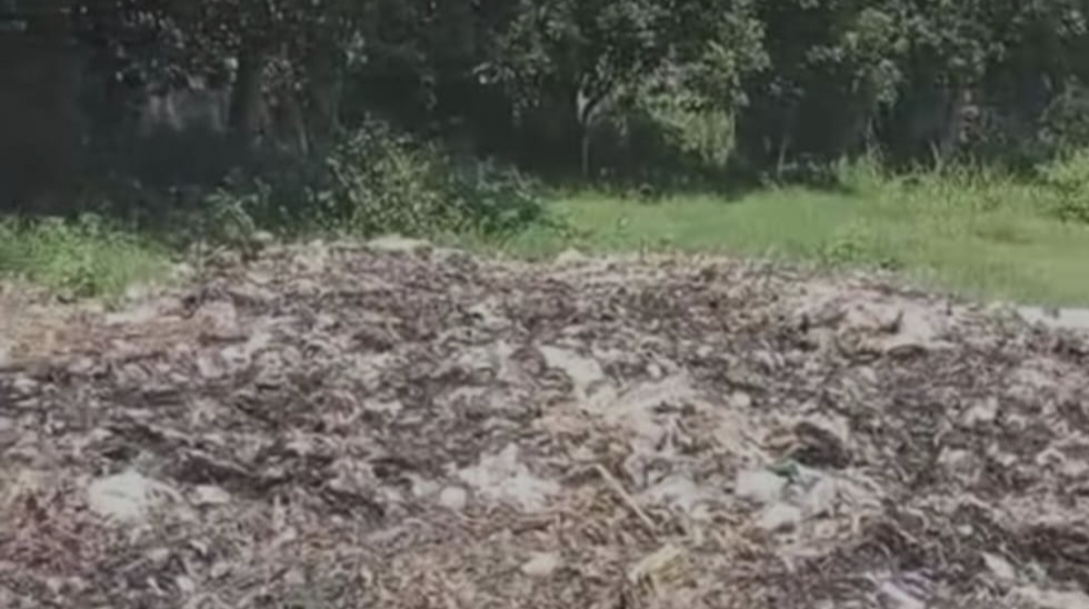 Keluhan Warga Berbuah Hasil, Sampah di Patemon Diangkut Lokasi yang menjadi pembuangan sampah .foto screenshot