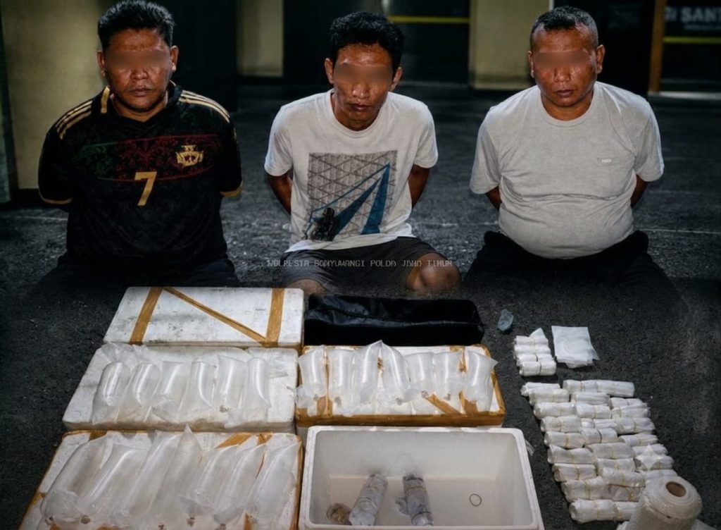 Polisi Gagalkan Kiriman 23 Ribu BBL di Banyuwangi Ketiga tersangka penyelundupan BBL berhasil dibekuk Polresta Banyuwangi (Foto: Istimewa)