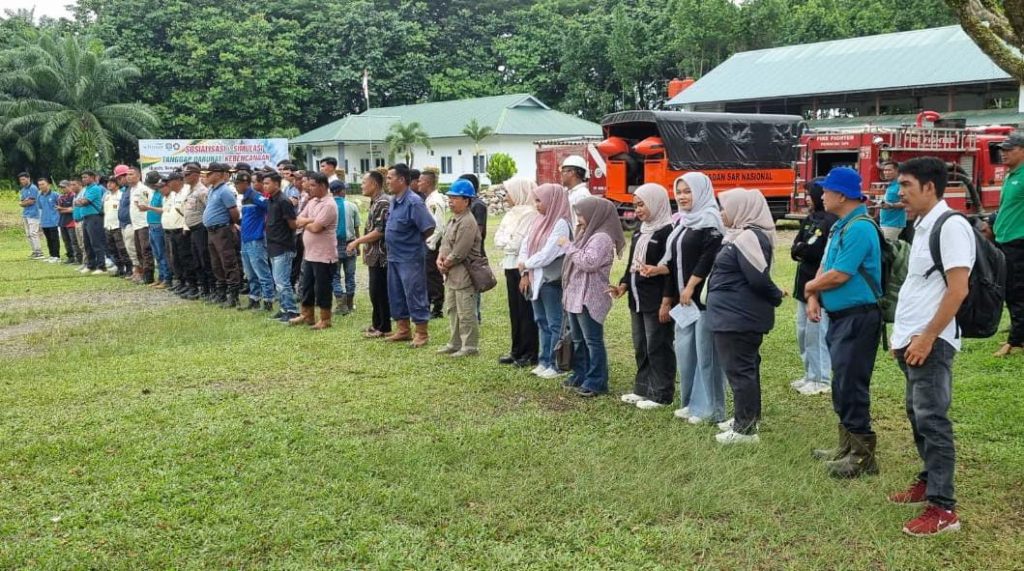 PT AMP Plantation Perkuat Tim Tanggap Bencana Peserta sosialisasi dan simulasi tanggap darurat kebencanaan di PT AMP Plantation, Kamis (30/7/2026), tampak mengikuti arahan tim instruktur dari Satpol PP, Damkar, dan Basarnas Kabupaten Agam dengan tertib. (Saipen/GOnews.id)
