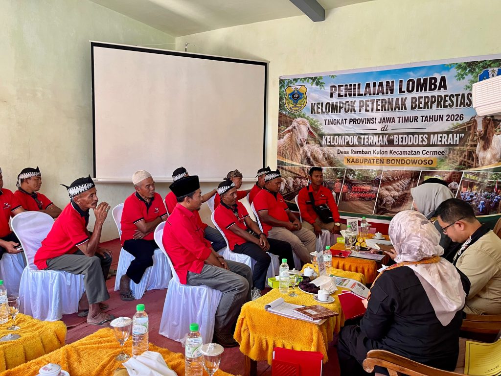 Kelompok Ternak Beddoes Merah Ramban Kulon Ikuti Penilaian Peternak Berprestasi Tingkat Jatim Penilaian Administrasi, Keaktifan Kelompok, Budi daya dan Inovasi Beddos Merah Oleh Tim Juri Lomba Kelompok Peternak Berprestasi Tingkat Jawa Timur. Rabu (5/8/2026) (Doni/Gonews.Id)