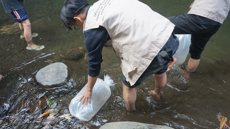 Tebar 10.000 Benih Ikan Wader, Mahasiswa FPIK UB dan Warga Pandanajeng Bersinergi Lestarikan Sungai Mahasiswa FPIK UB bersama warga Pandanajeng menebar 10.000 benih ikan wader untuk menjaga kelestarian ekosistem sungai.