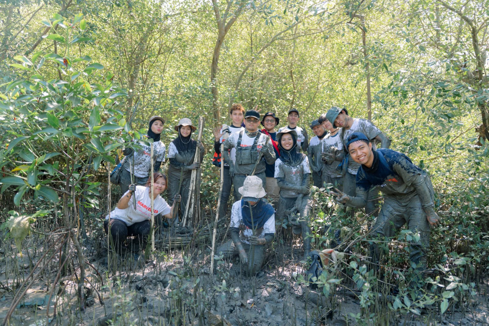 Mahasiswa FPIK UB dan WVI menanam 10.000 bibit mangrove di Wonorejo Surabaya