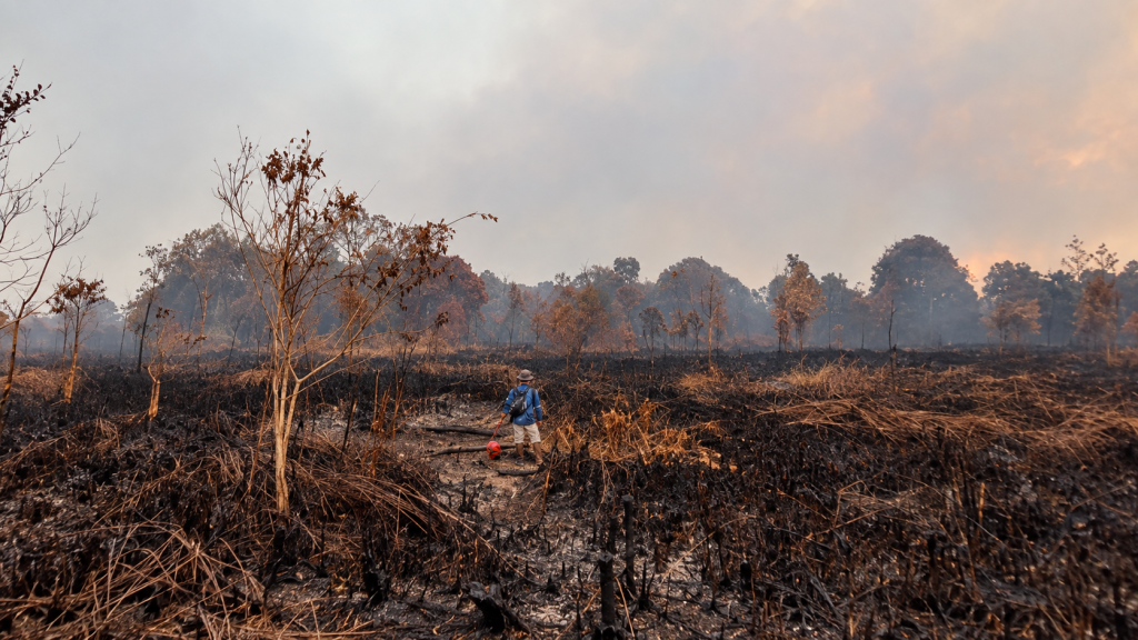Warga Terpapar Asap hingga Krisis Air, Masyarakat Sipil Desak Karhutla Jadi Bencana Nasional Sulidra Fredrik Kurniawan Animal and Habitat Protection Manager-Yayasan Palung